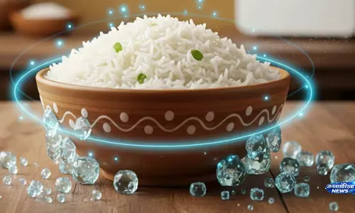 मिनटों में खिले खिले बन जाएंगे फ्रिज वाले चावल