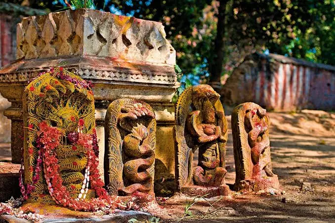 अनोखी परंपरा: 1 लाख नाग प्रतिमाओं वाले मंदिर में महिला पुजारी अनोखी परंपरा: 1 लाख नाग प्रतिमाओं वाले मंदिर में महिला पुजारी