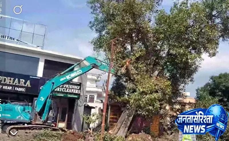 पठानकोट-मंडी फोरलेन के लिए 1.17 लाख पौधारोपण पठानकोट-मंडी फोरलेन के लिए 1.17 लाख पौधारोपण