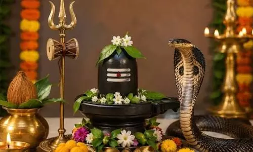 नाग पंचमी के दिन खरीदें ये पवित्र वस्तुएं घर में आएगी खुशहाली