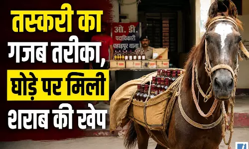 तस्करी का गजब तरीका, घोड़े पर मिली शराब की खेप तस्करी का गजब तरीका, घोड़े पर मिली शराब की खेप