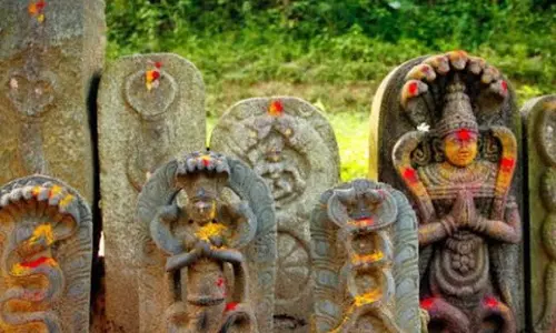 नाग पंचमी पर क्यों पढ़ी जाती है नाग देवता की कथा जानें धार्मिक महत्व