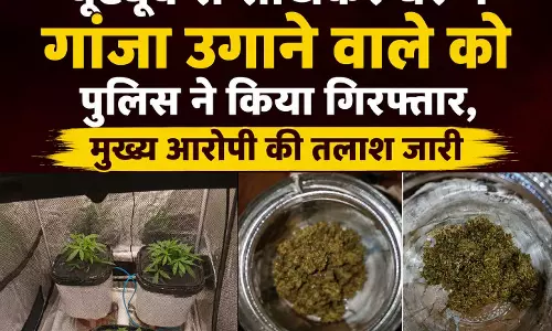 YouTube से सीखकर घर में गांजा उगाने वाले को पुलिस ने किया गिरफ्तार, मुख्य आरोपी की तलाश जारी YouTube से सीखकर घर में गांजा उगाने वाले को पुलिस ने किया गिरफ्तार, मुख्य आरोपी की तलाश जारी
