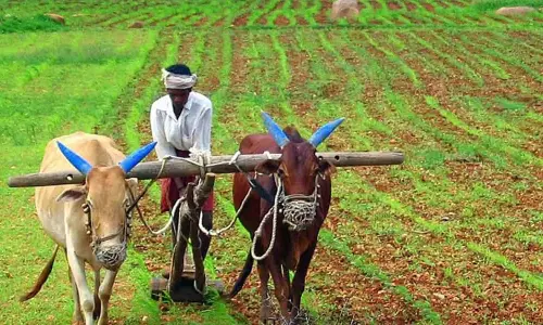SC किसानों की हालत पर बड़ा खुलासा भूमिहीनता और बीमा की कमी
