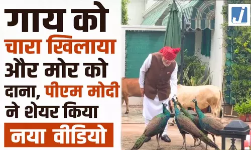 गाय को चारा खिलाया और मोर को दाना, पीएम मोदी ने शेयर किया नया वीडियो, बोले- ये मेरी दैनिक दिनचर्या