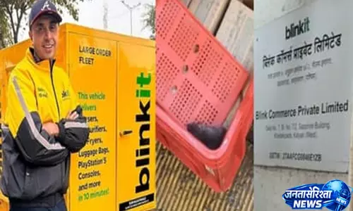 आइसक्रीम फ्रीजर में चूहा सफाई व्यवस्था पर सवाल
