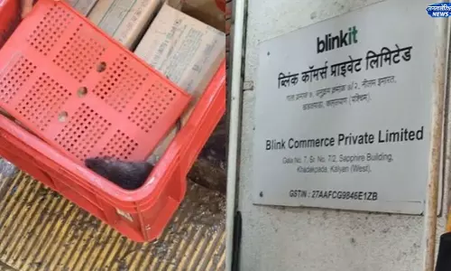 ब्लिंकिट फ्रीजर में मिला चूहा, खाद्य सुरक्षा पर उठे सवाल ब्लिंकिट फ्रीजर में मिला चूहा, खाद्य सुरक्षा पर उठे सवाल