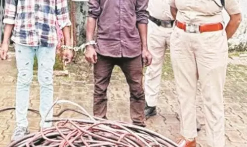 BSP प्लांट में दीवार फांदकर कॉपर वायर चोरी की कोशिश, 2 आरोपी गिरफ्तार