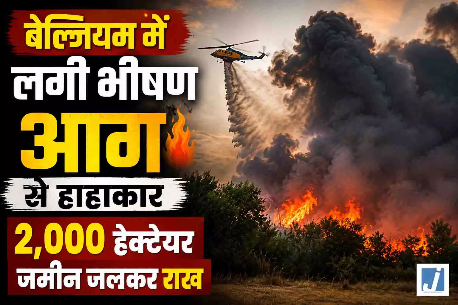 बेल्जियम में लगी भीषण आग से हाहाकार, 2,000 हेक्टेयर जमीन जलकर राख बेल्जियम में लगी भीषण आग से हाहाकार, 2,000 हेक्टेयर जमीन जलकर राख