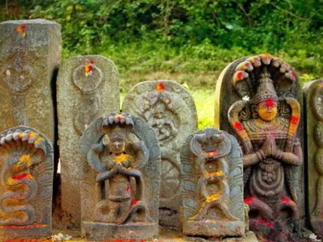 नाग पंचमी पर क्यों पढ़ी जाती है नाग देवता की कथा जानें धार्मिक महत्व नाग पंचमी पर क्यों पढ़ी जाती है नाग देवता की कथा जानें धार्मिक महत्व