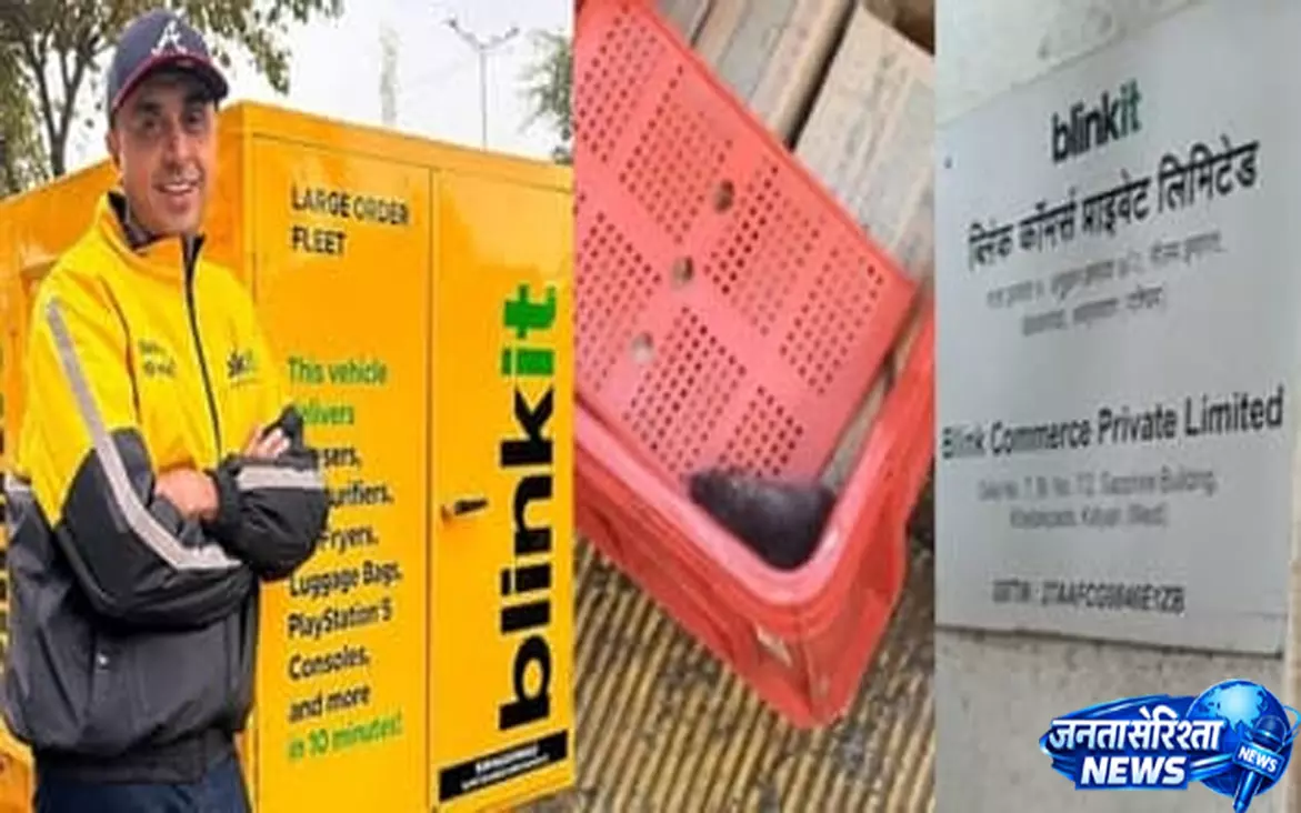 आइसक्रीम फ्रीजर में चूहा सफाई व्यवस्था पर सवाल आइसक्रीम फ्रीजर में चूहा सफाई व्यवस्था पर सवाल