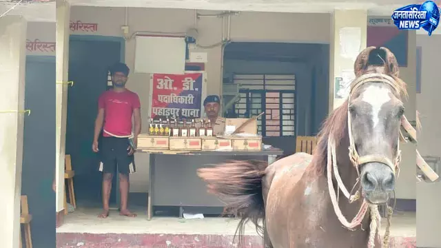 बिहार में शराब तस्करी का नया तरीका, घोड़े पर लादकर ले जा रहा था शराब बिहार में शराब तस्करी का नया तरीका, घोड़े पर लादकर ले जा रहा था शराब