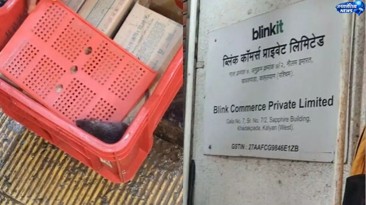 ब्लिंकिट फ्रीजर में मिला चूहा, खाद्य सुरक्षा पर उठे सवाल ब्लिंकिट फ्रीजर में मिला चूहा, खाद्य सुरक्षा पर उठे सवाल