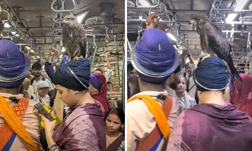 मुंबई लोकल में महिला की पगड़ी पर बैठकर बाज ने किया सफर, वायरल हुआ अनोखा वीडियो मुंबई लोकल में महिला की पगड़ी पर बैठकर बाज ने किया सफर, वायरल हुआ अनोखा वीडियो