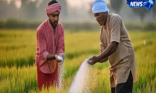 बिहार के किसानों को बड़ी सौगात रबी से मिलेगा फसल बीमा का लाभ