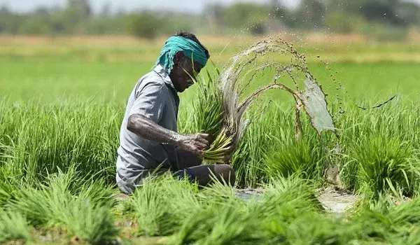 Jaipur: किसानों की परेशानी दूर करने की पहल, फसल बीमा में गांव न दिखने का होगा समाधान