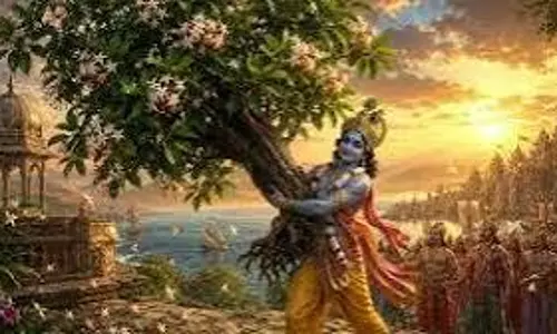 स्वर्ग से धरती पर कैसे आया पारिजात वृक्ष जानिए पौराणिक कहानी