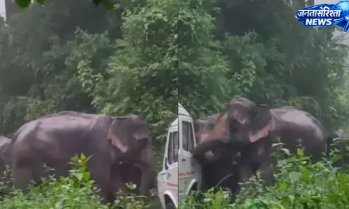 कोटद्वार हाईवे पर हाथियों का हमला, दो वाहन क्षतिग्रस्त कोटद्वार हाईवे पर हाथियों का हमला, दो वाहन क्षतिग्रस्त