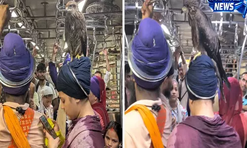 पगड़ी पर बैठा बाज मुंबई लोकल का वीडियो सोशल मीडिया पर वायरल पगड़ी पर बैठा बाज मुंबई लोकल का वीडियो सोशल मीडिया पर वायरल
