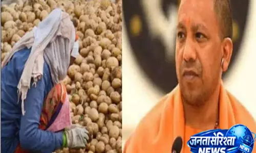 योगी सरकार की योजनाओं से आलू किसानों को राहत