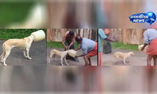 बाल्टी में फंसे कुत्ते को दो दिन बाद बचाया गया, भूख-प्यास से परेशान था बेजुबान