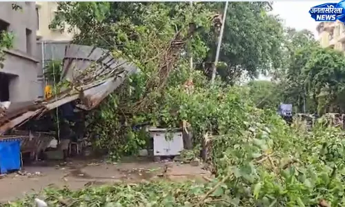 चर्चगेट में पेड़ गिरने से चार गाड़ियां क्षतिग्रस्त, दो घायल