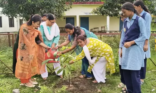 Champawat: चम्पावत में हरियाली और बागवानी को बढ़ावा, 56 हजार से ज्यादा फलदार पौधे लगाए