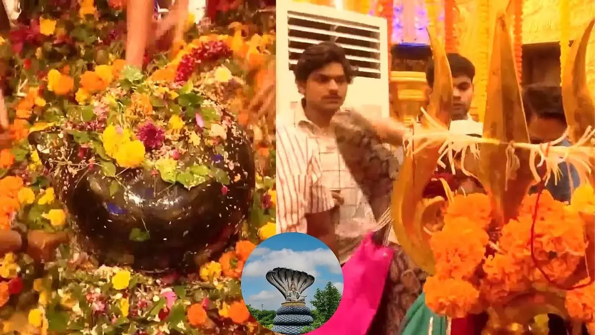 नाग पंचमी पर शिवमय हुआ मुंबई का बाबुलनाथ मंदिर, दर्शन के लिए उमड़ा भक्तों का सैलाब नाग पंचमी पर शिवमय हुआ मुंबई का बाबुलनाथ मंदिर, दर्शन के लिए उमड़ा भक्तों का सैलाब
