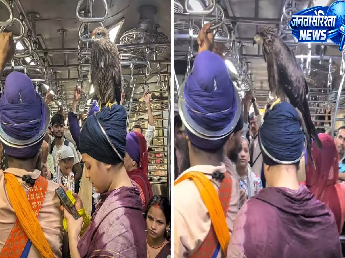 पगड़ी पर बैठा बाज मुंबई लोकल का वीडियो सोशल मीडिया पर वायरल पगड़ी पर बैठा बाज मुंबई लोकल का वीडियो सोशल मीडिया पर वायरल