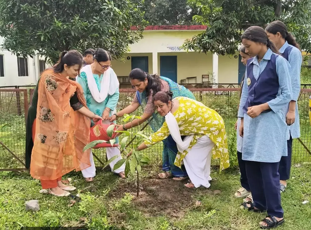 Champawat: चम्पावत में हरियाली और बागवानी को बढ़ावा, 56 हजार से ज्यादा फलदार पौधे लगाए Champawat: चम्पावत में हरियाली और बागवानी को बढ़ावा, 56 हजार से ज्यादा फलदार पौधे लगाए