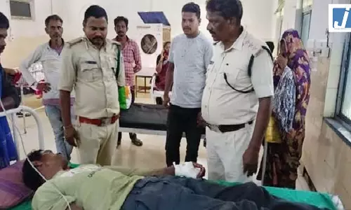 सामने आया अनोखा मामला! बाघिन से भिड़ा भैंसों का झुंड, चरवाहे की बची जान