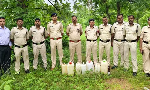 जंगल में छिपाकर रखी कच्ची शराब बरामद, आरोपी की तलाश जारी जंगल में छिपाकर रखी कच्ची शराब बरामद, आरोपी की तलाश जारी