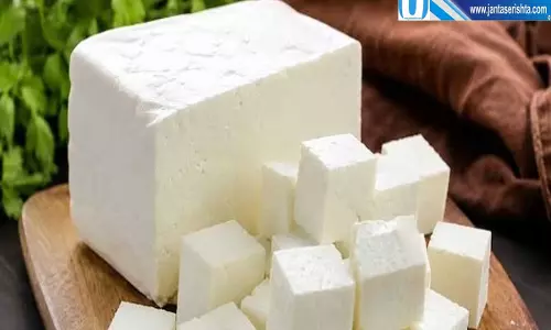 पांच राज्यों में बैन हुआ एनालॉग पनीर सेहत के लिए कितना खतरनाक पांच राज्यों में बैन हुआ एनालॉग पनीर सेहत के लिए कितना खतरनाक