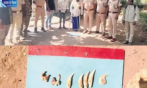 कर्नाटक के जंगलों में अवैध शिकार के पांच मामले, वन्यजीव सुरक्षा पर उठे सवाल कर्नाटक के जंगलों में अवैध शिकार के पांच मामले, वन्यजीव सुरक्षा पर उठे सवाल
