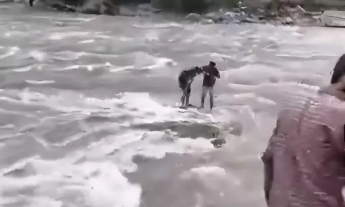 Kullu में पार्वती नदी से चार पर्यटक बचाए गए
