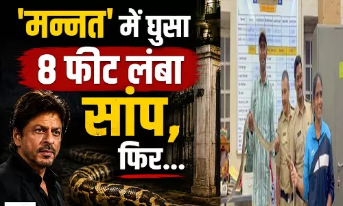 एक्टर शाहरुख खान के मन्नत में घुसा 8 फीट लंबा सांप, फिर... एक्टर शाहरुख खान के मन्नत में घुसा 8 फीट लंबा सांप, फिर...
