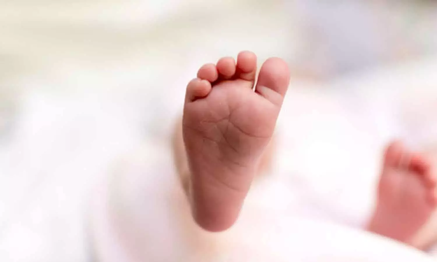 Andhra: श्रीकालाहस्ती में हॉस्टल के पास नवजात शिशु लावारिस हालत में मिला