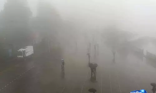 हिमाचल में बारिश का कहर, 197 लोगों की मौत