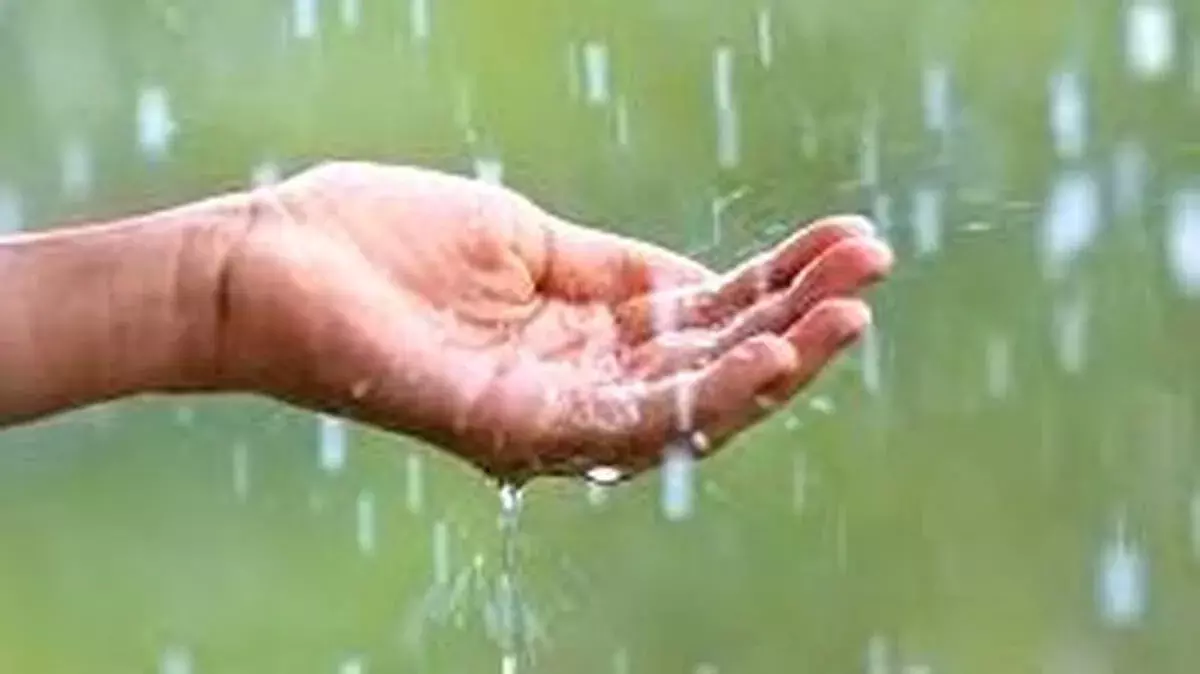 Kerala में मॉनसून कमज़ोर बना हुआ ; बारिश में 23% की कमी Kerala में मॉनसून कमज़ोर बना हुआ ; बारिश में 23% की कमी