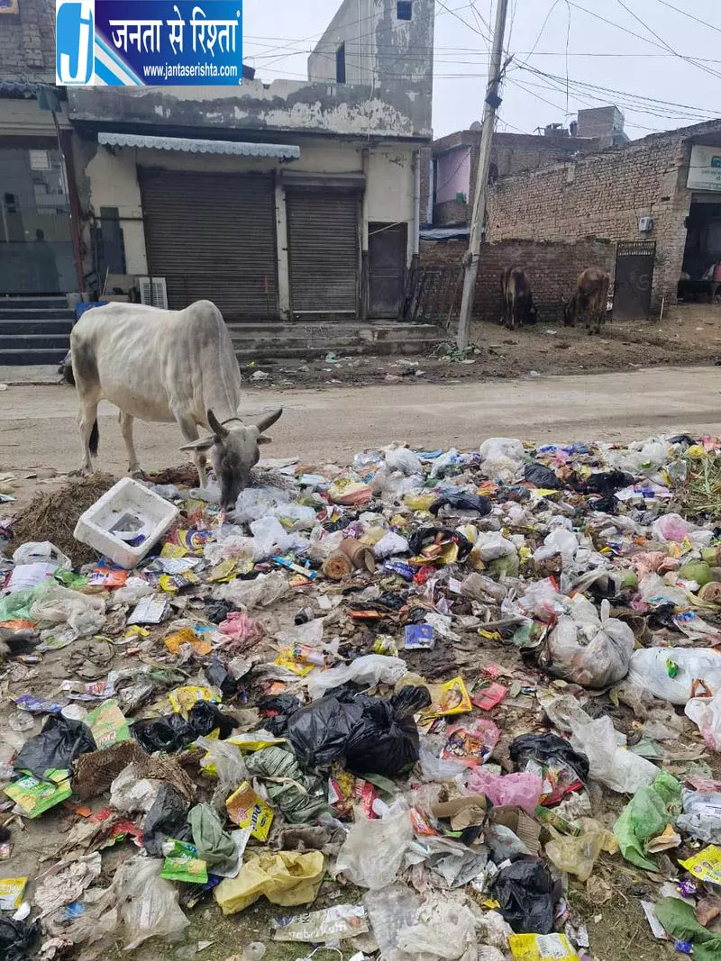 Sirsa-Fatehabad में कचरे का संकट गहराया Sirsa-Fatehabad में कचरे का संकट गहराया