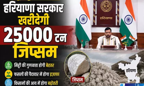 हरियाणा सरकार का बड़ा फैसला भूमि सुधार के लिए खरीदे जाएंगे 25000 टन जिप्सम