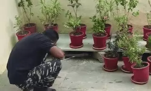Kota: एसडीएम आवास में घुसा विशाल कोबरा, रेस्क्यू टीम ने संभाला मोर्चा