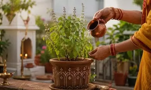 घर में तुलसी और शिवलिंग साथ रखने को लेकर क्या कहता है शिव पुराण