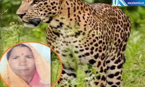 मुरादाबाद में तेंदुए का आतंक महिला की मौत के बाद गांव में PAC तैनात