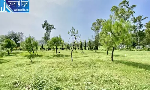 लुधियाना के 22 वार्डों में 176 प्रजातियों के 2 लाख पेड़: रिपोर्ट लुधियाना के 22 वार्डों में 176 प्रजातियों के 2 लाख पेड़: रिपोर्ट