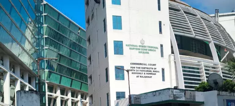 Meghalaya चूना-पत्थर खनन विवाद: NGT पहुंची श्री सीमेंट की पब्लिक हियरिंग