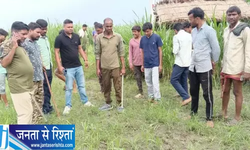 महेशपुर में बाघ की चहल-कदमी, सीसी कैमरे में कैद हुआ वन्यजीव महेशपुर में बाघ की चहल-कदमी, सीसी कैमरे में कैद हुआ वन्यजीव