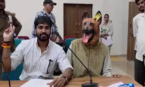 कांग्रेस नेता ने उठाए पशु नसबंदी व्यवस्था पर सवाल