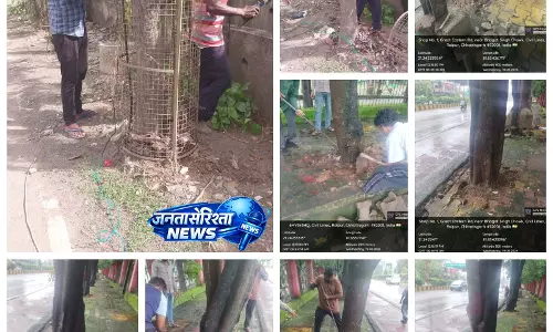 प्रोजेक्ट पुनर्जीवन: रायपुर शहर में 2111 ट्री गार्ड और 446 स्थानों से कांक्रीट-पेवर हटाए गए