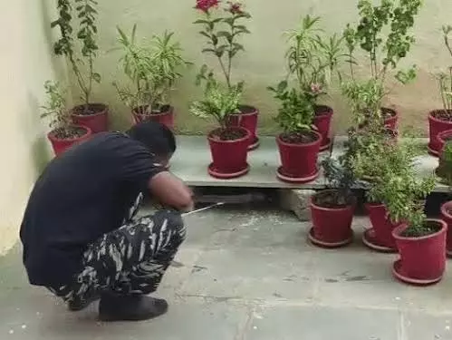 Kota: एसडीएम आवास में घुसा विशाल कोबरा, रेस्क्यू टीम ने संभाला मोर्चा Kota: एसडीएम आवास में घुसा विशाल कोबरा, रेस्क्यू टीम ने संभाला मोर्चा